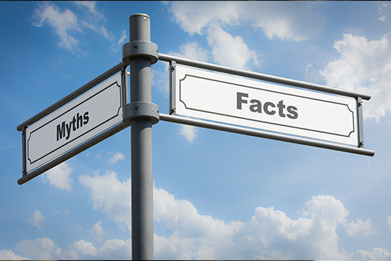 Unveiling the Truth: Dispelling Common Myths Surrounding Audit Support Services