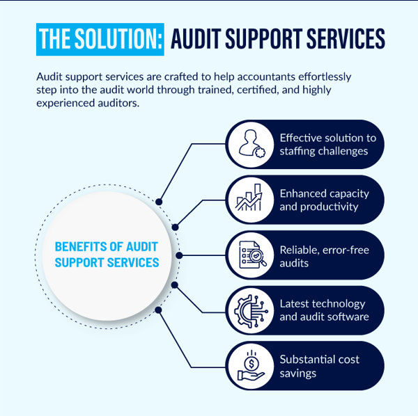 Benefits of Audit Support Services