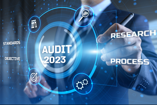 The 2023 Audit Forecast