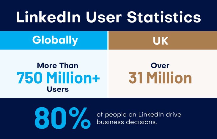 LinkedIn User Statistics